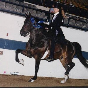 Profile Picture of Joy Weber-mckendrick (@morgans12) on Myspace