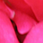 Profile Picture of Ewa Engberg (@källartrollet) on Flickr