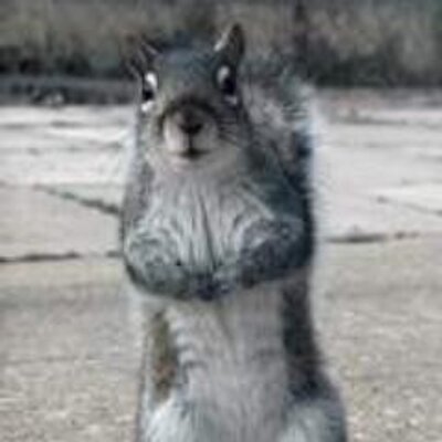 Profile Picture of Andrew W Applegarth (@applegaa) on Twitter