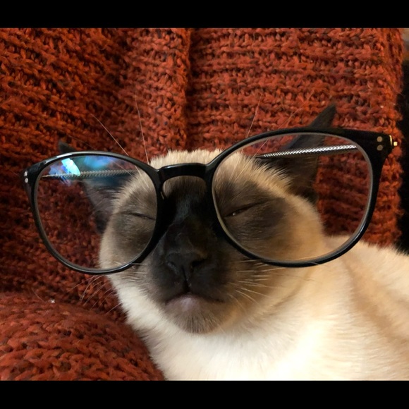 Profile Picture of Blake Strong (@strongblake) on Poshmark