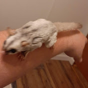 Profile Picture of Steven Hensley (@stevenhensley3846) on Youtube