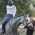 Profile Picture of Alexa Kramer (@akequestrian_random) on Instagram
