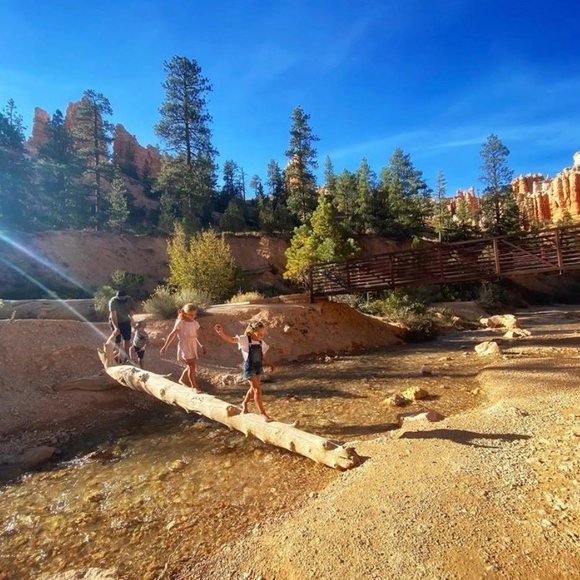 Profile Picture of Rozalynn Rowbury (@rozalynnr) on Poshmark