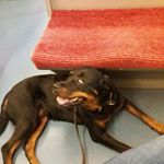 Profile Picture of Sonja Duffy (@sonja.duffy.77) on Instagram