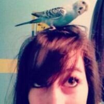 Profile Picture of Paulette Knox (@paulette7441) on Twitter