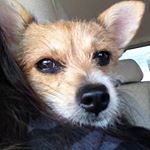 Profile Picture of Yolanda Keymolent (@yolandakeymolent) on Instagram
