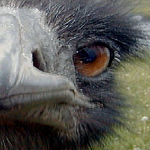 David Horlick - Flickr Profile Picture of David Horlick (@Dave Horlick) on Flickr