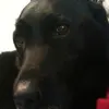 Profile Picture of carlaculley (@cc71680) on Tiktok