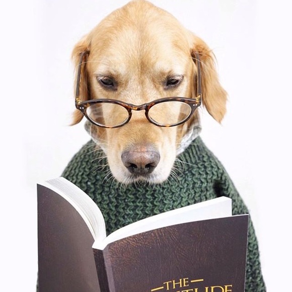 Profile Picture of Kimberly Roberts (@kimberlyyylynn) on Poshmark