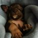 Profile Picture of Jacob Oberlin (@jacoboberlin) on Pinterest