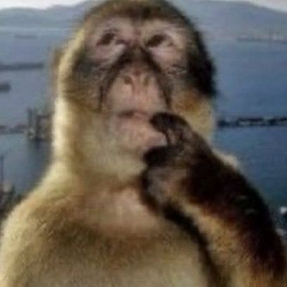 Profile Picture of richard (@richardflosee) on Tiktok