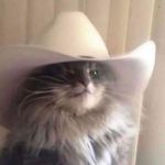 Profile Picture of Carl Somera (@hoy_carlo) on Instagram