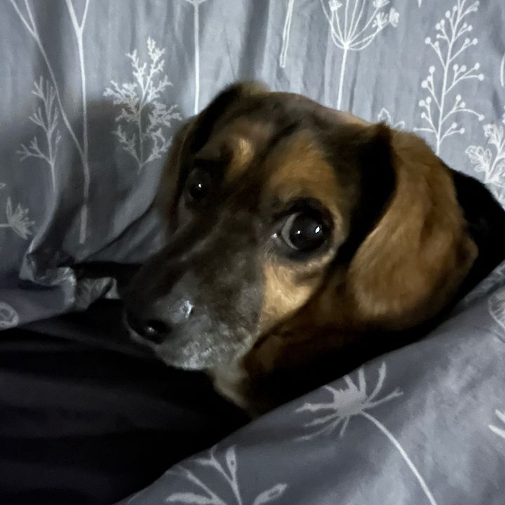 Profile Picture of danielleglinski7 (@danielleglinski7) on Tiktok