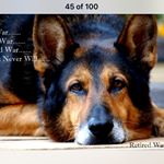 Profile Picture of Dennis R Blocker (@dogsof2wars) on Instagram