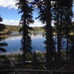 Colten Carter - Instagram Profile Picture of Colten Carter (@col10c) on Instagram