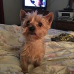Profile Picture of Wanda Black (@wandablack4695) on Instagram
