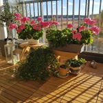 Profile Picture of Ewa Karlhager (@ewakarlhager) on Instagram