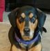 Profile Picture of Brian Pitman (@brian.pitman.3576) on Facebook