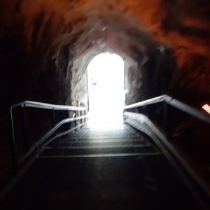 Max Gruber - Twitter Profile Picture of Max Gruber (@MaxGruber5) on Twitter