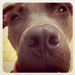 Profile Picture of Matthew Rizzo (@mrizzo18) on Instagram