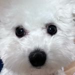 Profile Picture of 채 연 (@_chye0n) on Instagram