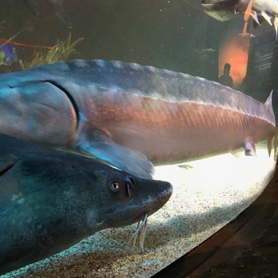 Profile Picture of Daniel Lichtenberg (@netonme) on Twitter