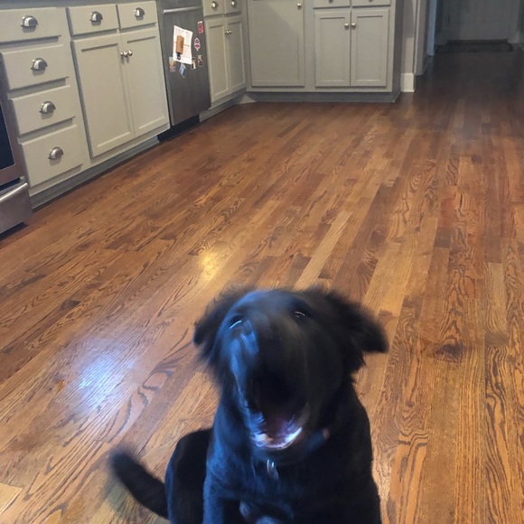 Profile Picture of Joseph Konstanty (@jkon_17) on Poshmark