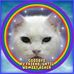 Profile Picture of Dave Landers (@dave.landers.16) on Facebook