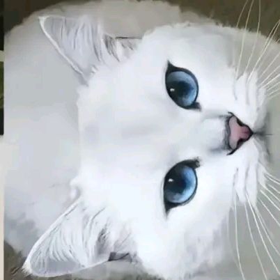 Profile Picture of Cleooo (@lillian1762) on Tiktok