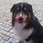 Profile Picture of Peter Erhardt (@erhardtpeter) on Instagram