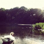 Profile Picture of Nickolas Lenoue (@nickolaslenoue) on Instagram