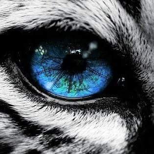 Profile Picture of Juan David Revelo_- (@JuanDavidRevel2) on Twitter