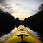 Profile Picture of Andy Brookes (@shakyandy) on Instagram