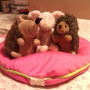 Profile Picture of Toni Tyner Robinson (@trobin5) on Pinterest