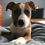 Profile Picture of Mack Poole (@mackdaddyp__) on Instagram