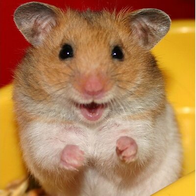 Profile Picture of Ken Parish (@KJP133) on Twitter