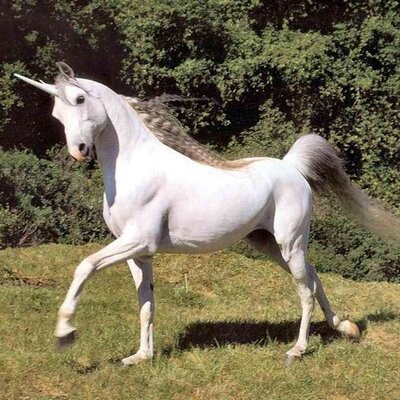 Profile Picture of Nate (@KitchellNate) on Twitter