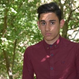 Profile Picture of Amir Parsa (@Amirparsa13617) on Twitter