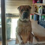 Profile Picture of Paula zaragoza Cantos (@paulazaragoz10) on Instagram