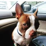 Profile Picture of Libby McKinney (@trapper_bt) on Instagram