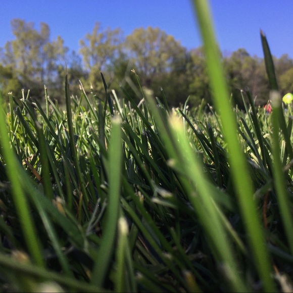 Profile Picture of Petra Kittleson (@petchk52) on Poshmark