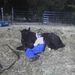 Profile Picture of Laura Duncan (@laurakinsolving) on Pinterest