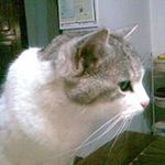 Profile Picture of Daniela Baroni (@daniela.baroni.982) on Instagram