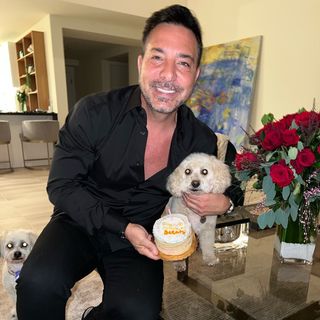 Profile Picture of Michael Dalesandro (@michaelwhere) on Instagram