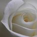 Profile Picture of Amie Norris (@amiebeth71) on Pinterest