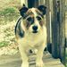 Profile Picture of Tammy Oswalt (@tammymoswalt) on Pinterest