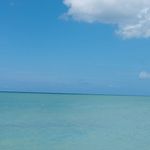 Profile Picture of James Amaral (@james.amaral.79025) on Instagram