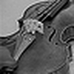 Profile Picture of Amanda Morgan (@Irishfiddlelass) on Flickr