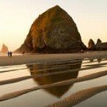 Profile Picture of Tamara Jonas (@tamarakayjonas) on Instagram