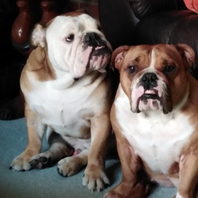 Profile Picture of Marshall LANCASTER (@MarshallLANCA10) on Twitter